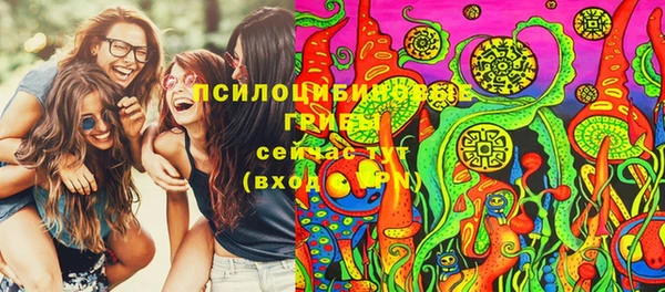 ПСИЛОЦИБИНОВЫЕ ГРИБЫ Долгопрудный