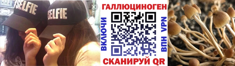 Псилоцибиновые грибы Psilocybine cubensis  закладки  Сорск 